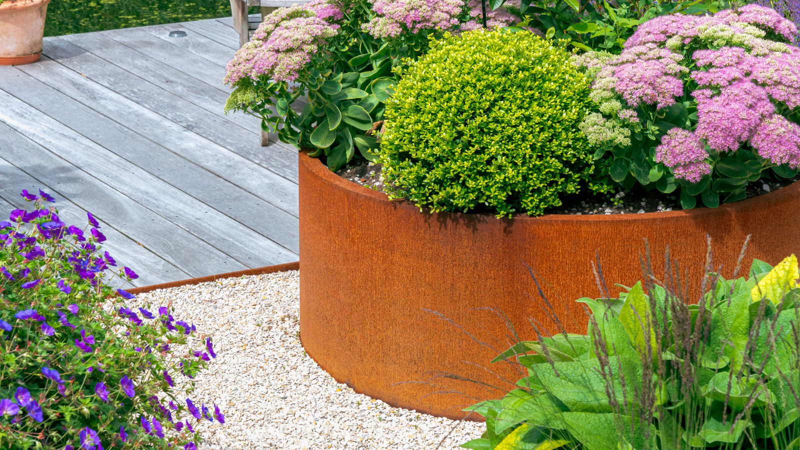 Cortenline - banner do email šablony (Příspěvek na Twitteru)